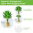 Set Of 6 Round Wall Hanging Glass Planters, Propagation Station Vases With Hangers, Terrarium Or Hydroponic Planter Pots For Indoor Decor-1332140919-1332140917