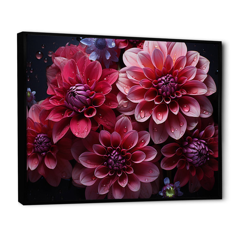 " Majestic Pink Dahlia II ", Black Floater Framed, 12" H x 20" W x 1" D