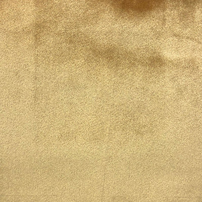 Shiny Solid Velvet | Gian Fabric
