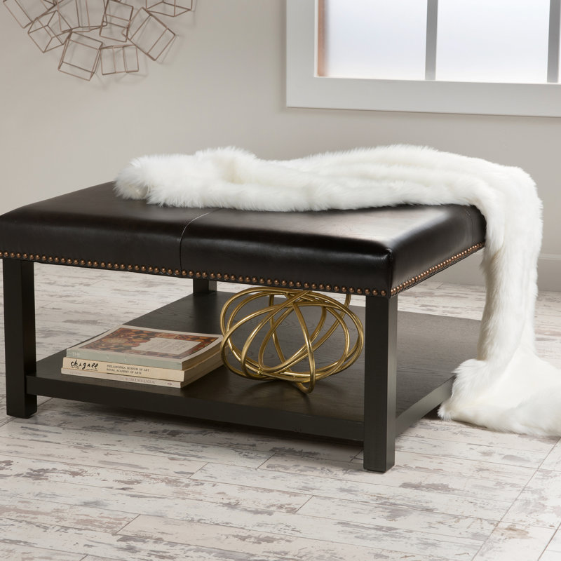 Table basse brun foncé avec rangement de qualité, base en bois de bouleau, profondeur 36,19 po x largeur 33,75 po, hauteur 17,87 po, en bois