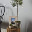 Conservatory Faux Olive Tree Tree in Ceramic Pot-742309509