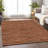 Premium Machine Washable Prisco Paprika Rug-102686491