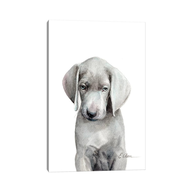 Weimaraner Puppy - Wrapped Canvas Painting, 30.48cm H x 20.32cm W