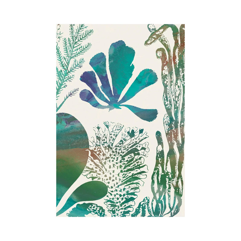 Aquatic Assemblage I by Sharon Chandler - Wrapped Canvas Painting, 101.6 cm H x 66.04 cm W x 1.91 cm D