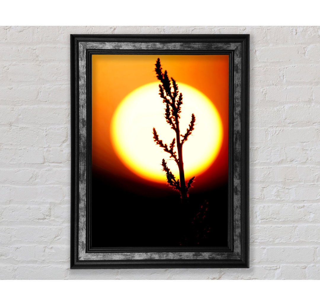 Stunning Sun Glow Orange - Einzelne Bilderrahmen Kunstdrucke