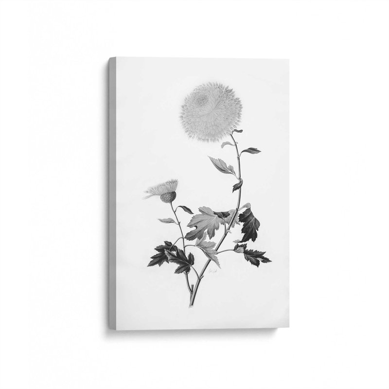 «Botanical IV» par Deborah Revell, reproduction d'art sur toile, H 12 po x l 8 po, Toile tendue, Ne s’applique pas