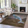 Machine Washable Indoor/Outdoor Xhevrie Brown Rug