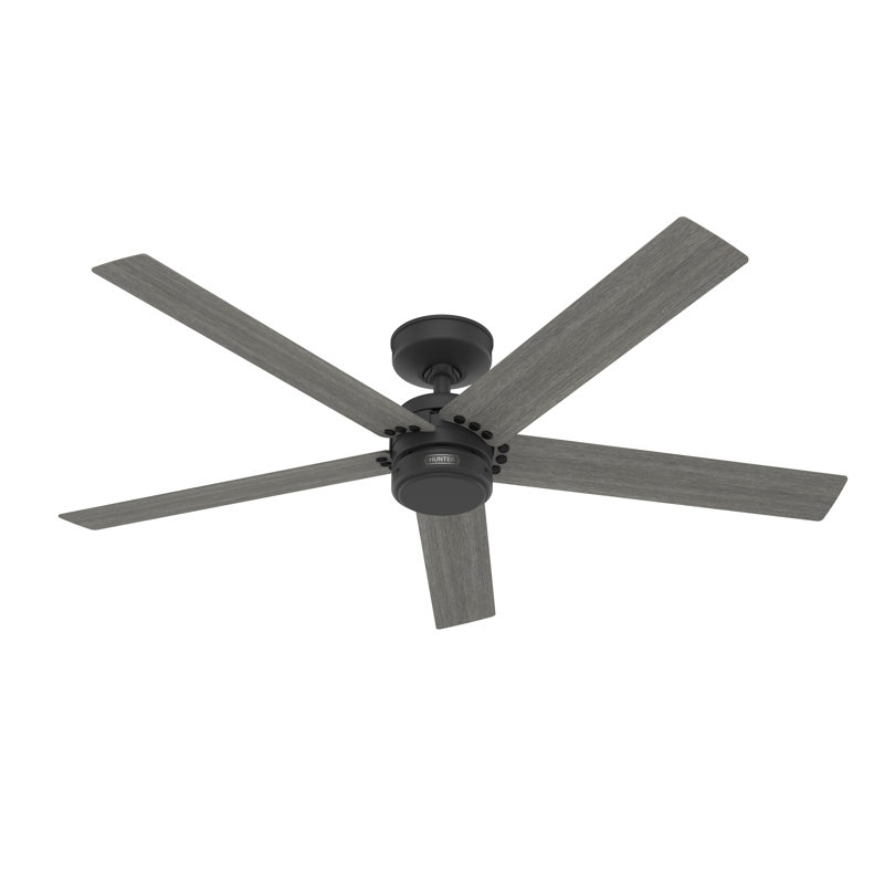52" Burton 5 - Blade Damp Rated Ceiling Fan And Wall Control, Matte Black