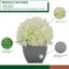 Arrangement d'hortensias en tissu synthétique blanc dans un pot à fleurs-1553681567-1488260805