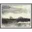 Shadow Wood 1 Print by Dan Hobday-380579373