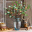Tige de feuille snow berry-2021644644-2021644641