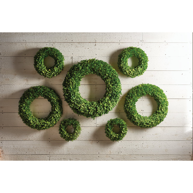 Alby Preserved Boxwood Real Greenery Wreath, 16" H x 16" W x 2.75" D