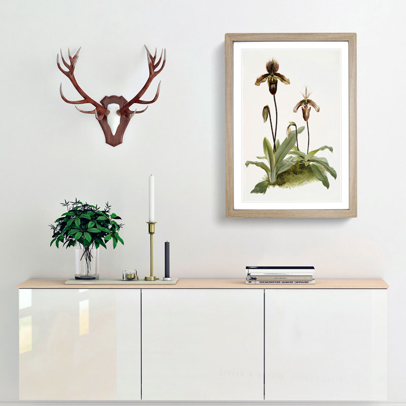 Magnolia Flowers Illustration Tab. 43 by Frederick Sander - Picture Frame Painting Print, Oak, 91cm H x 60cm W x 2cm D