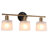 3 - Light Dimmable Vanity Light