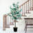 Locksley 72'' Faux Eucalyptus Tree in Pot