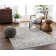 Oriental Indoor Rug