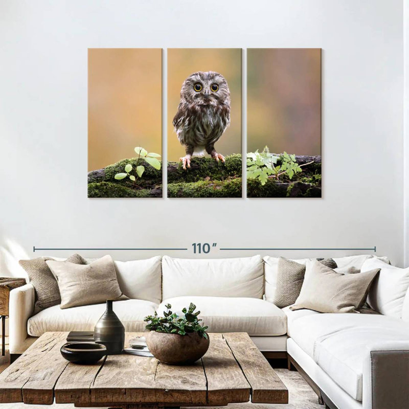 Brampt Charming Little Owl, 48" H x 74" W