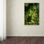 Leeth «Grapes», reproduction de photo sur toile tendue-21179462