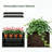 Tall Metal Planter Box With Tulip Privacy Screen, 47 Inch Galvanized Raised Garden Bed, Black