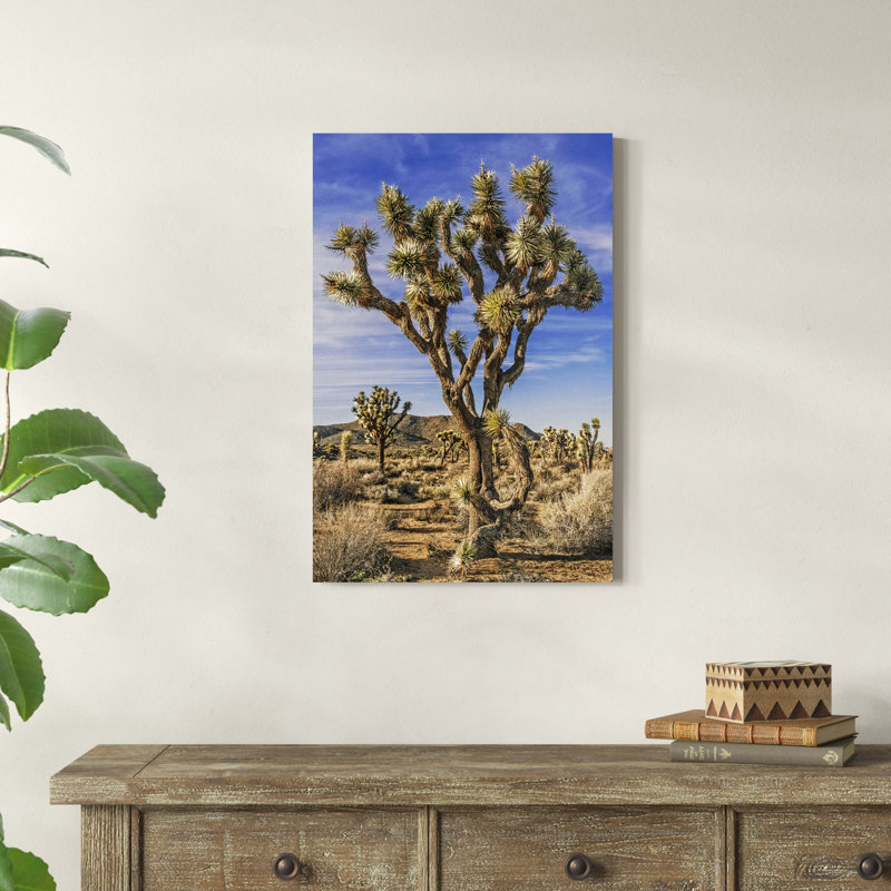 Vue de l'arbre de Josué III, H 30 po x l 20 po x P 1,25 po