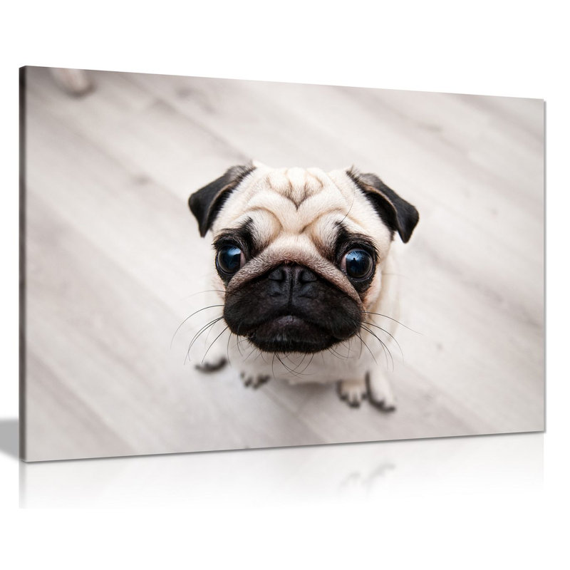 Cute Pug Kitchen - Wrapped Canvas Print, 20cm H x 30cm W