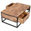 Sylvia Sled Coffee Table with Storage