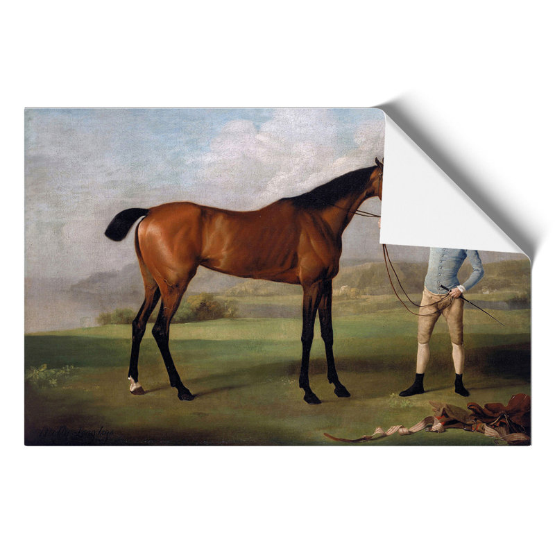 Molly Long Legs by George Stubbs - No Frame Painting, 42cm H x 59cm W x 0.1cm D