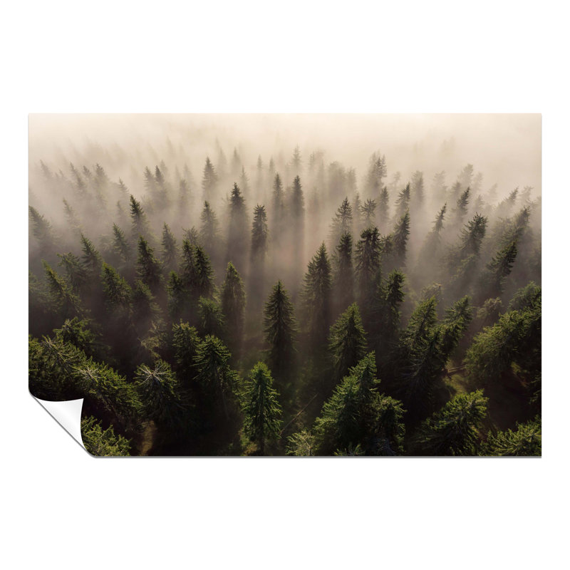 Misty Morning Forest Trees Aerial View - No Frame Print, 51cm H x 76cm W