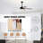 Anuva Ceiling Fan with Light Kit-1570444880
