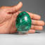 Genuine Polished Malachite Egg (363.2 Grams)