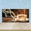 Loicel 50cm W x 100cm L Glass Peel and Stick Panel