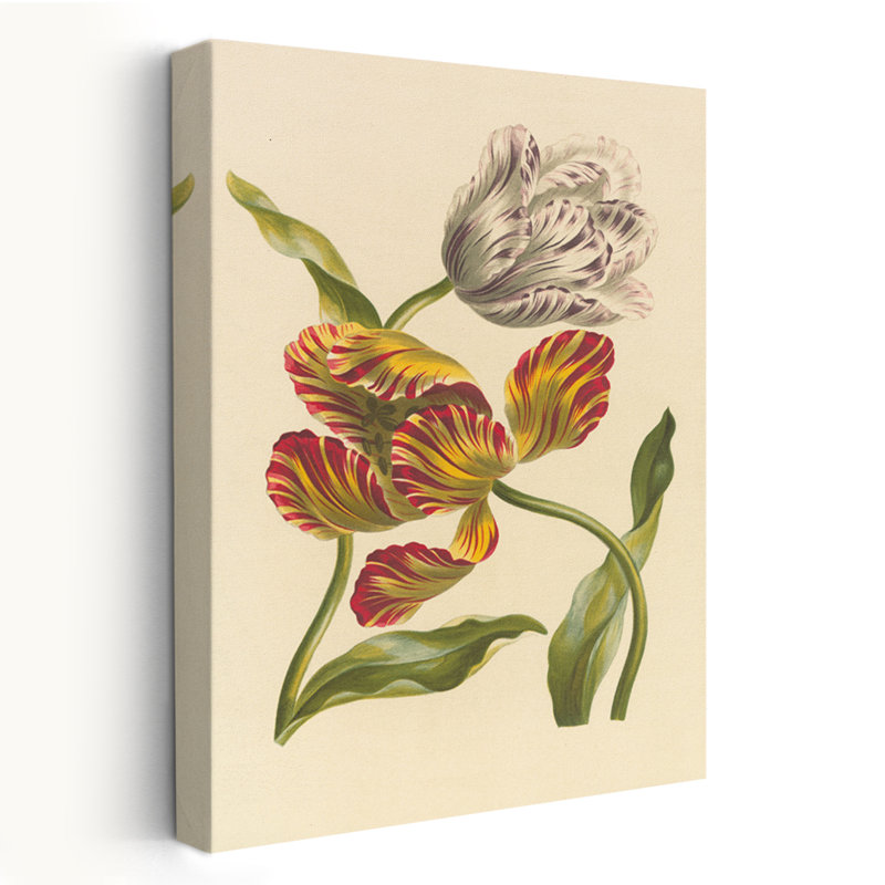 Rétro et deux tulipes, H 24 po x l 16 po