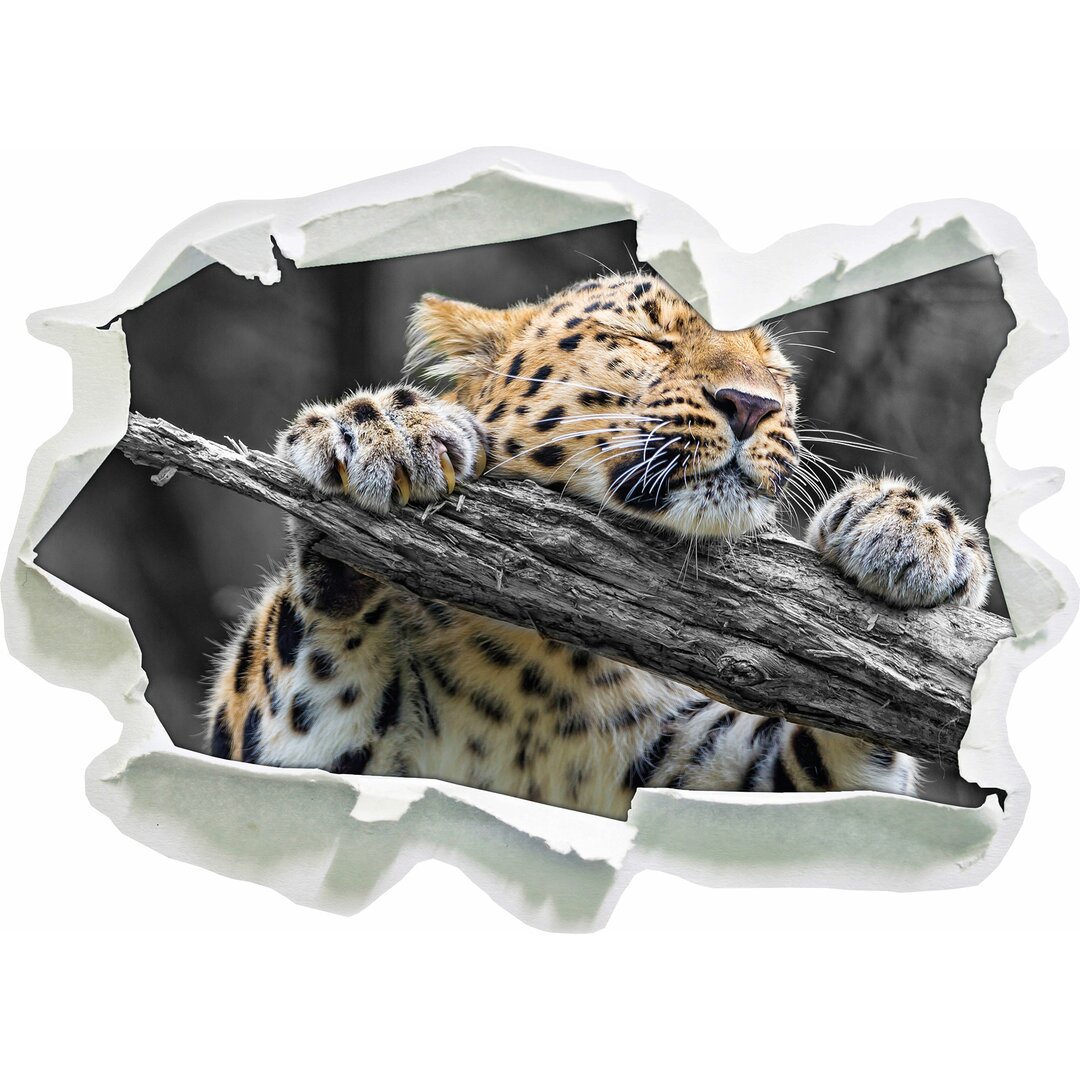 Kleiner spielender Leopard Wandsticker