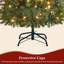 Fir Christmas Tree-900500794