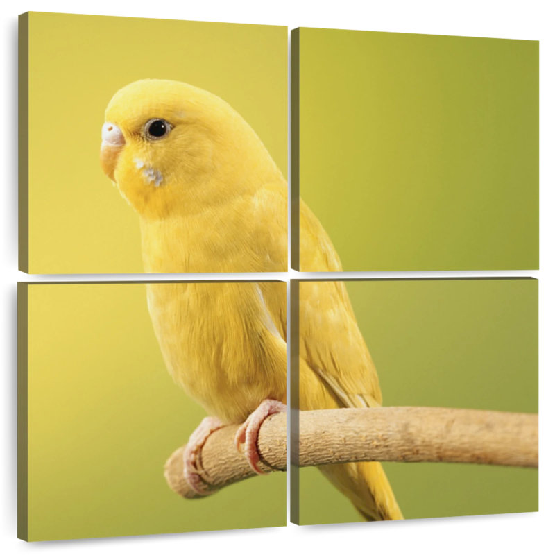 Brampt Perched Yellow Parakeet, 18" H x 18" W