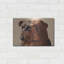 «Bulldog» par Thomas Fluharty