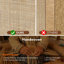 Armoire à chaussures en rotin peu encombrante avec 4 portes rabattables pour l'organisation du vestibule-129159044