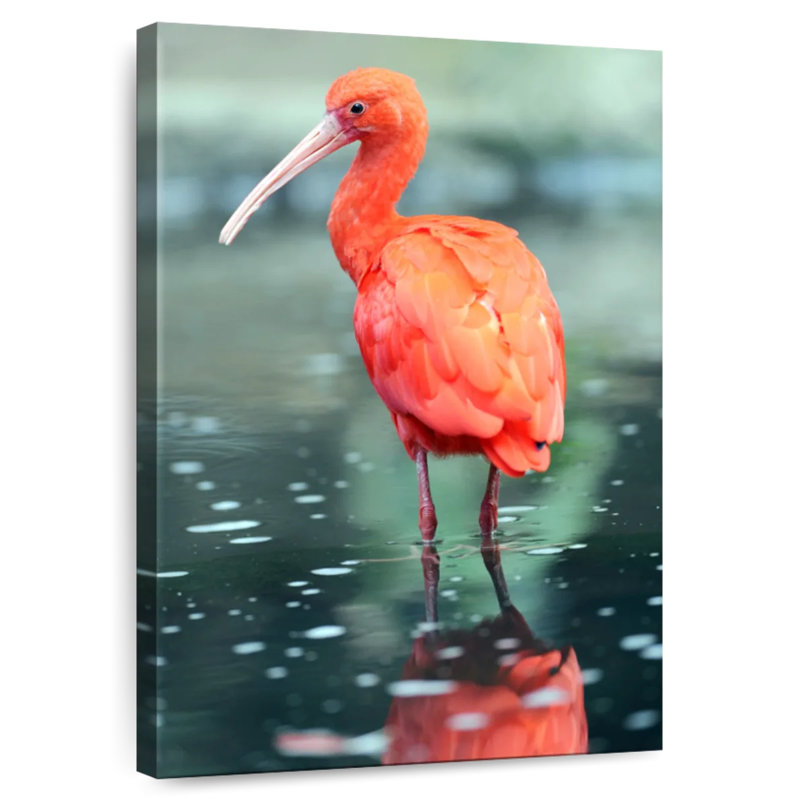 Brampt Scarlet Ibis Bird, 36" H x 24" W