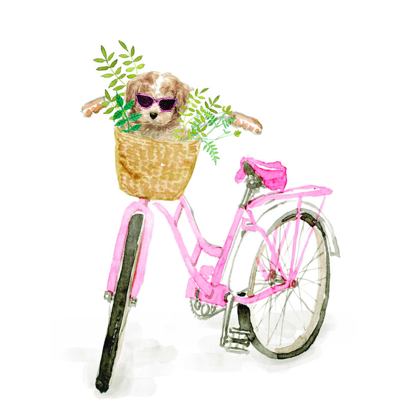 Chien dans un panier de vélo, H 48 po x l 36 po