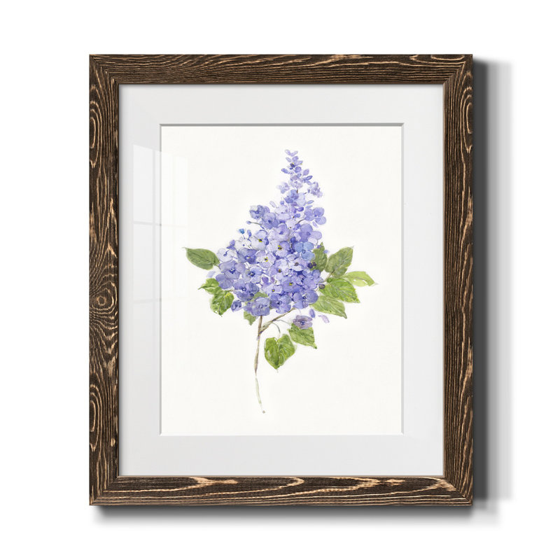Lilas botanique délicat - impression, Noyer, H 20 po x l 17 po x P 1,5 po