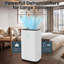 25L Compact Dehumidifier
