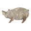 Animals Figurines & Sculptures