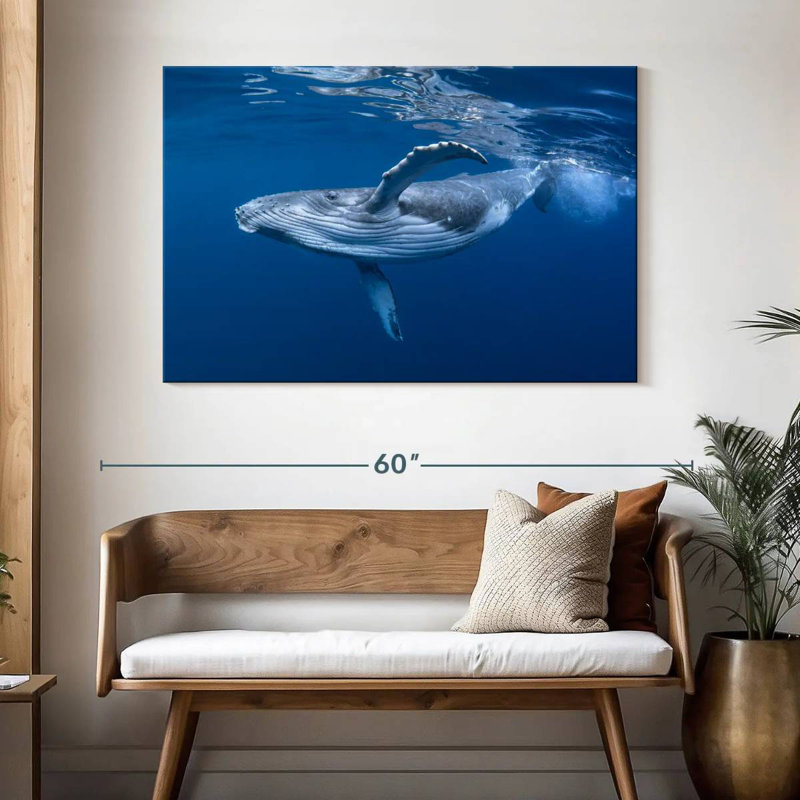 Brampt Baby Humpback Whale, 32" H x 48" W