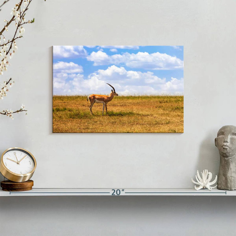 Gazelle Brampt dans la savane, H 8 po x l 12 po