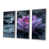 Silver Floater Framed Canvas