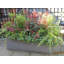 Hollriegel Fiberglass Window Box Planter-14486391-26335898
