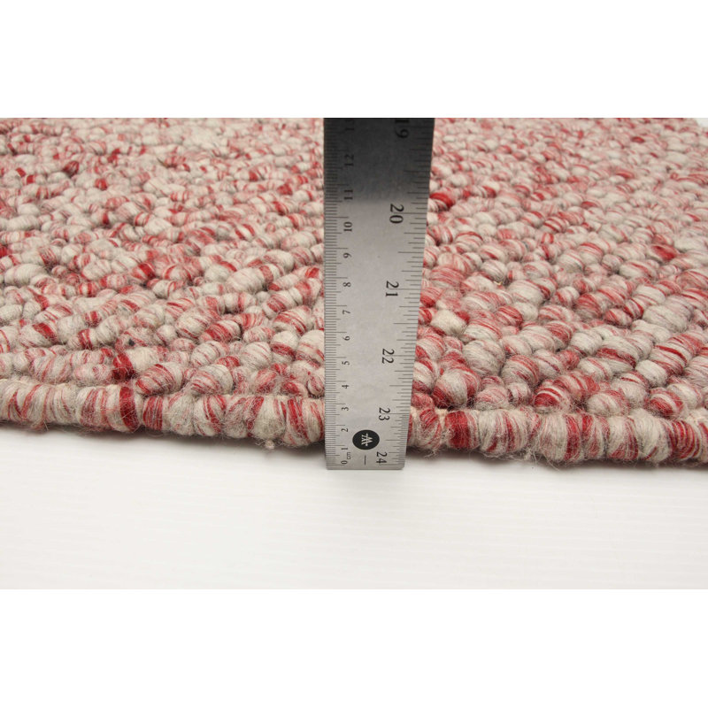 Haizlip Performance Hand Braided Wool Rug