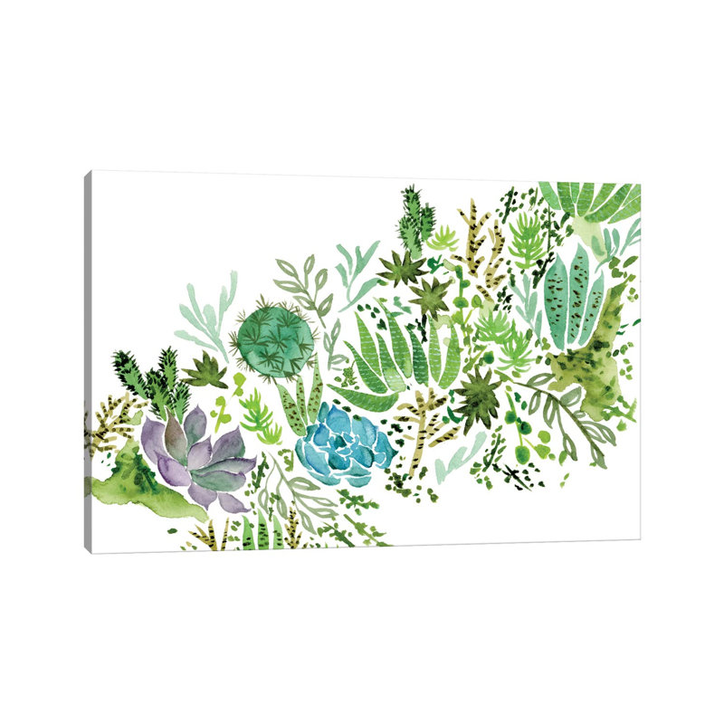 Succulent Field I by Melissa Wang - Wrapped Canvas Painting, 20.32 cm H x 30.48 cm W