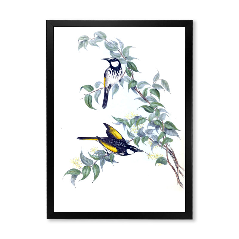 Oiseaux australiens rétro sur une branche - peinture sur toile, H 32 po x l 24 po x P 1 po, Cadre photo noir
