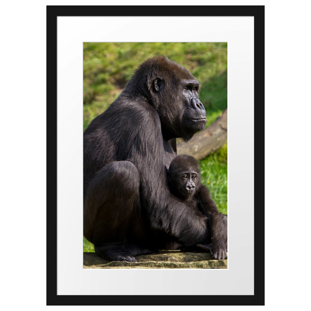 Gerahmtes Poster Liebevolle Gorillafamilie